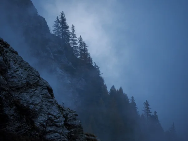 Misty forest on mountain slope — Stock Photo, Image