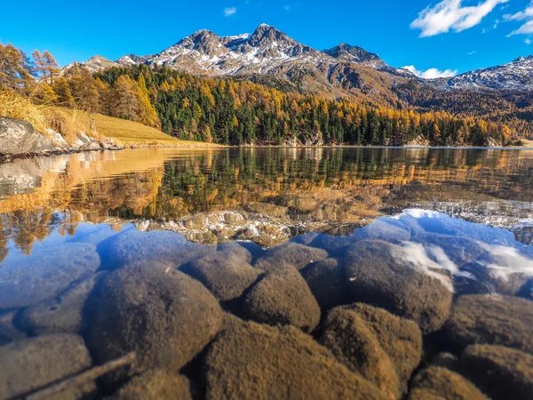 Höstens reflektioner kring sjön Silvaplana — Stockfoto