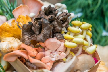 Ahşap bir kutuda karışık mantar