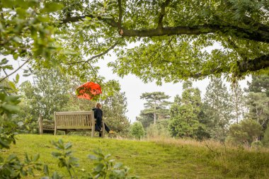 Yağmurlu bir günde şemsiye altında okuma