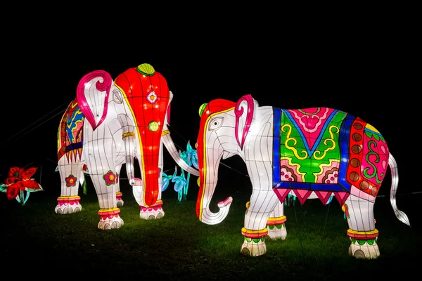 Instalación de dos coloridos elefantes pintados — Foto de Stock