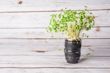 Bir kamera objektifi büyüyen tere