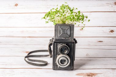 Vintage bir kamerada büyüyen tere
