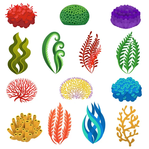 Deniz yosunu ve mercan. Çizgi film sualtı resif bitkileri ve hayvanları. Akvaryum, okyanus ve deniz bitkisi, deniz çiçekleri vektörü. — Stok Vektör