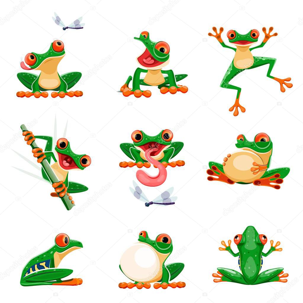 Funny frogs in various poses. Amphibian croaking, jumping, hunting, catching fly, smiling. Exotic tropical red-eyed tree frog. Wildlife animal cartoon vector set