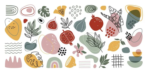 Formes organiques abstraites avec feuilles tropicales, fruits. Éléments botaniques boho minimaux pour l'art mural, décor, impression. Ensemble vectoriel de décoration gribouille nature dessiné à la main — Image vectorielle