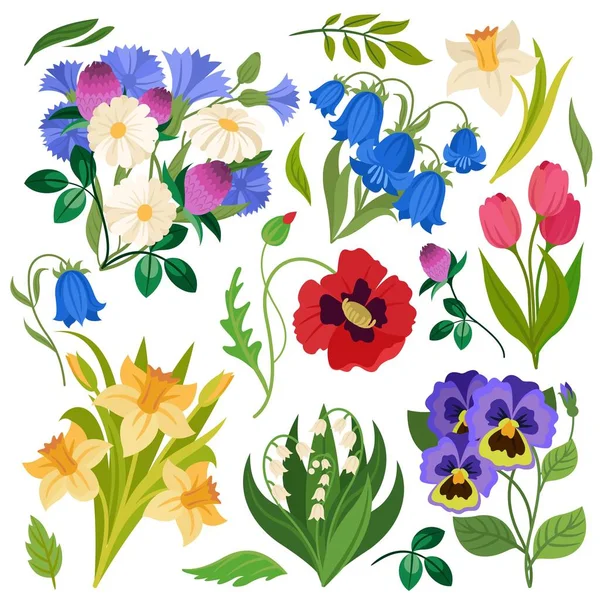 Blumenstrauß. Wildblumen Wiesenpflanzen. Kamille, Klee und Narzisse, Mohn und Maiglöckchen, Tulpen und Glockenblumen isoliert Vektor-Set — Stockvektor