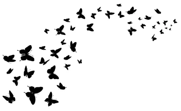Latający motyl. Czarna sylwetka grupy motyli. Słodka miłość ślubna, letni i wiosenny symbol, projekt graficzny tatuaż odizolowany wektor koncepcja — Wektor stockowy