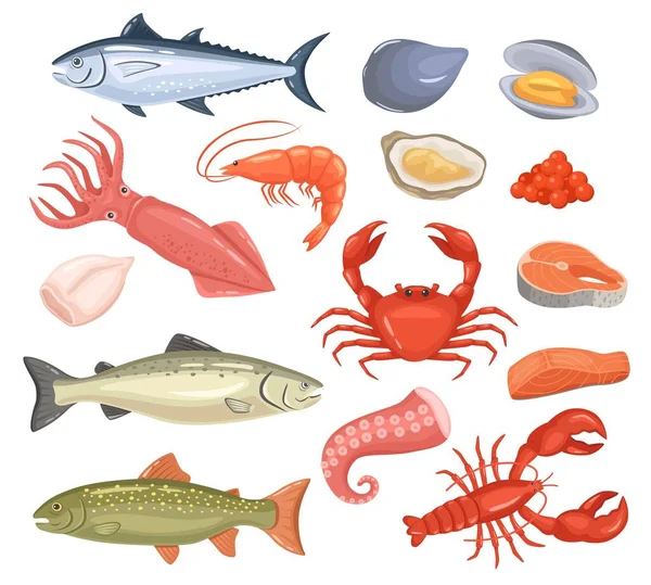 Mariscos de dibujos animados. Pescado fresco, ostra, langosta, atún rojo, salmón, pulpo, camarones, calamares. Juego de vectores de productos alimenticios gourmet de animales de mar crudo — Archivo Imágenes Vectoriales