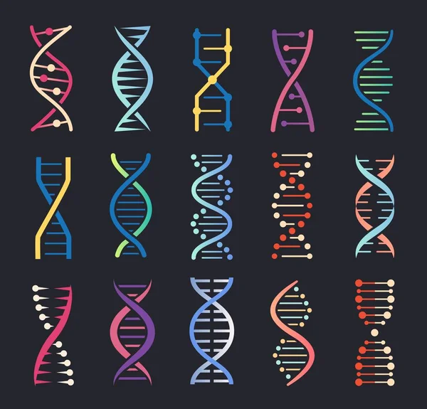 Iconos de Dna Hélice. Estructura de la molécula en espiral génica, código genético humano, logotipo de la cadena cromosómica. Ciencia genética, bioquímica icono vector conjunto — Archivo Imágenes Vectoriales