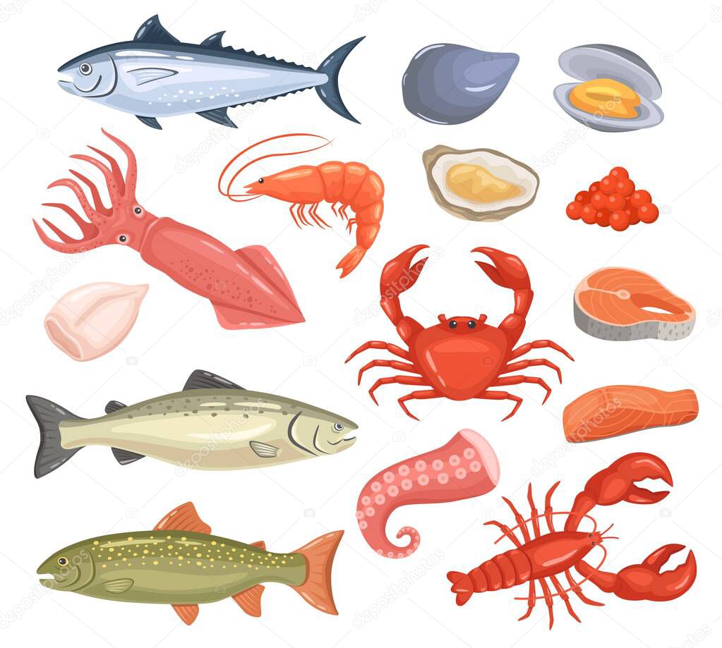 Cartoon seafood. Fresh fish, oyster, lobster, red tuna, salmon, octopus, shrimp, squid. Raw sea animal gourmet food products vector set