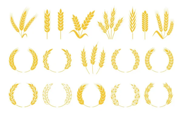 Wheat wreaths. Rice or wheat ears, barley spikes, rye grains and crops. Organic cereal plants ear silhouette, wreath element vector set — Stock Vector