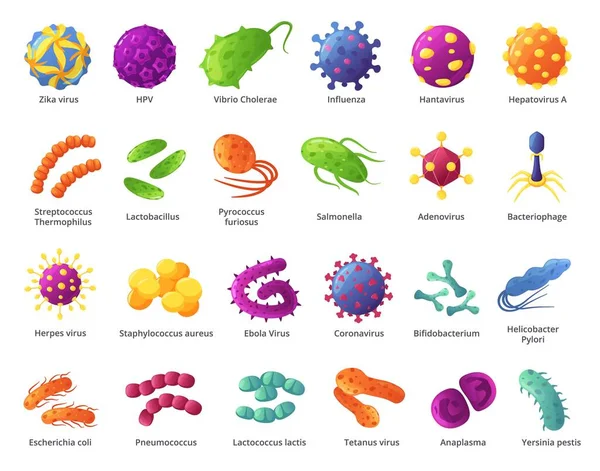 Мультяшный микроб. Биологические микроорганизмы, вирусные клетки, инфекционные микробы, бактерии. Патогенные организмы и вызывающие патогенные микробы — стоковый вектор