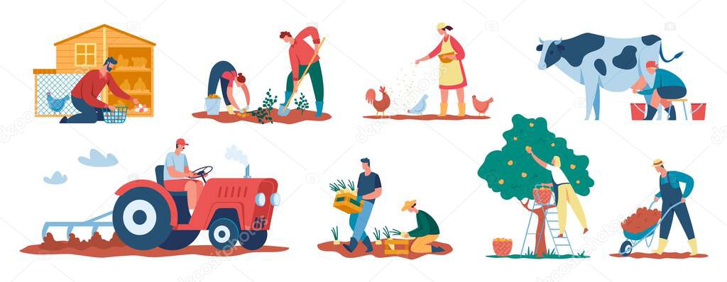 Farmers at work, agricultural workers harvesting crops, caring for animals. Farmer picking apples, collecting eggs, milking cow vector set