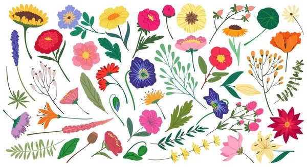 Niedliche Frühlingsblumen und Blätter, botanische florale Elemente. Flache Cartoon-Blüten Blume, Wildblume und Garten blühende Pflanzen Vektor-Set — Stockvektor