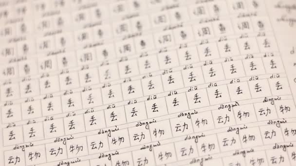 중국어를 배우기 — 비디오
