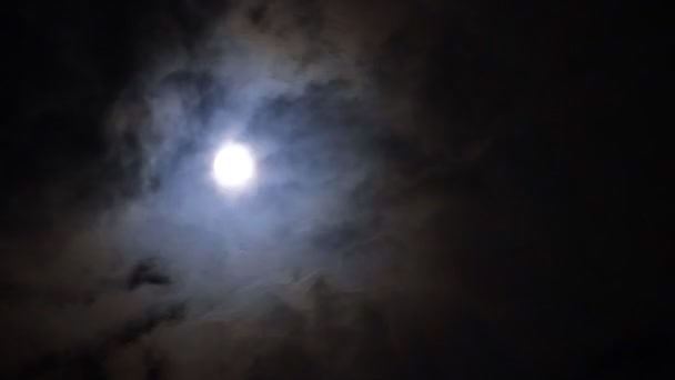 Volle Maan Bewegend Achter Vliegende Wolken Timelapse Beelden — Stockvideo