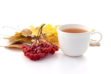 Çay sonbahar ile beyaz bir arka plan üzerinde beyaz kupa yaprakları