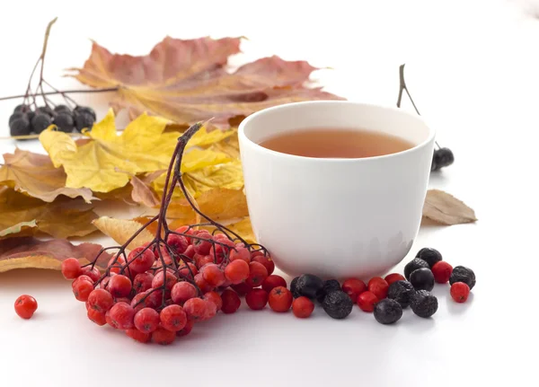 Taza blanca de té sobre un fondo blanco con hojas de otoño — Foto de Stock