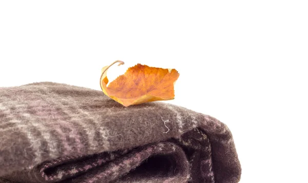 Brun halsduk och höstens löv på en vit bakgrund — Stockfoto