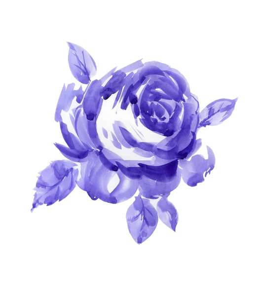 Rosa viola — Foto Stock