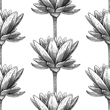 Oyulmuş lotus
