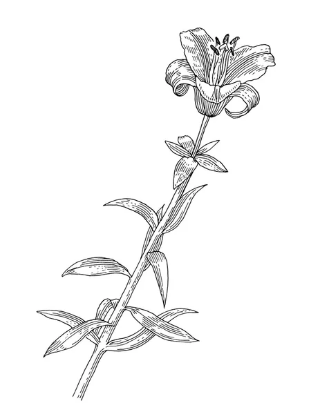 Virág — Stock Vector