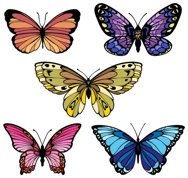 Набор цветных векторных ярких бабочек разных типов — стоковый вектор