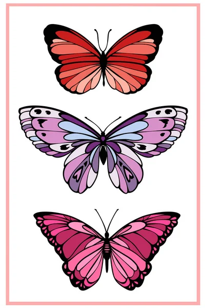 Tarjeta vectorial vertical con mariposas brillantes de colores en un marco — Vector de stock