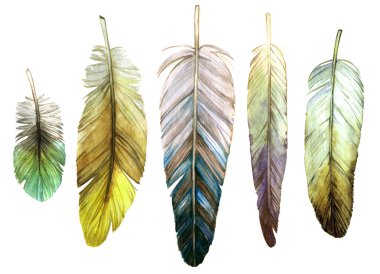 Beyaz arka planda doğal yeşil tonlarda suluboya kuş tüyleri.