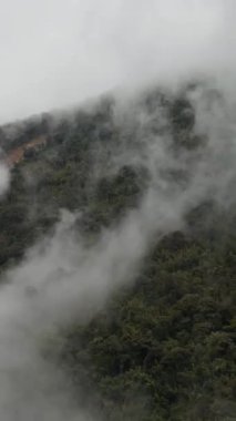 Yoğun ormanlarla kaplı yemyeşil bir dağ yamacının üzerinde yuvarlanan kalın beyaz sis. Andean bulut ormanlarının ya da yüksek ormanların tipik bir atmosferik ve karamsar doğa sahnesi.