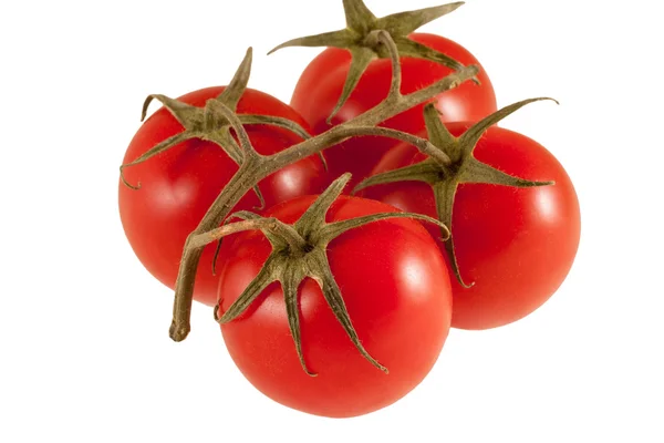 Twig of fresh tomato isolated on white background, clipping path — Stock Photo, Image