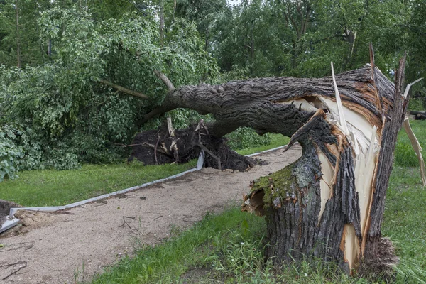 Dommages après la tempête et un ouragan — Photo