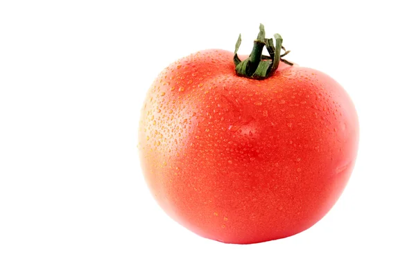 Fresh red tomato with green stem — Stock Photo, Image