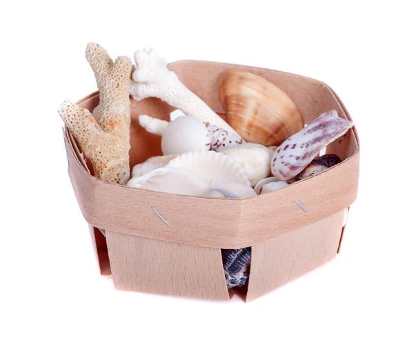 Flat wooden box  and seashells — Stock Photo, Image