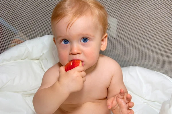 Pojke äter äpple — Stockfoto