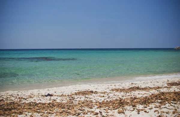 Acque tropicali in Sardegna — Foto Stock