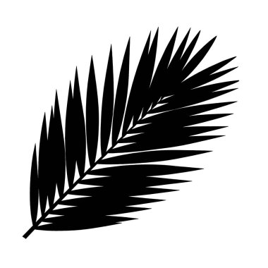 Bereketli yapraklı tropikal palmiye yaprağının silueti..
