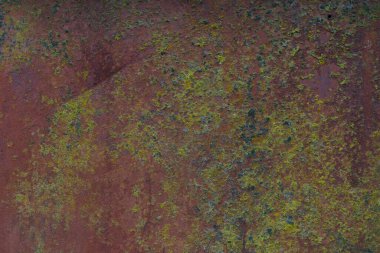 Yeşil ipuçları, küf ve mantarlı paslı metal..