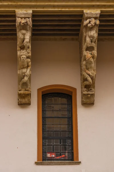 Corbeaux et fenêtre du Palais de Salina à Salamanque — Photo