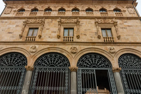 Fachada principal do Palácio La Salina em Salamanca — Fotografia de Stock