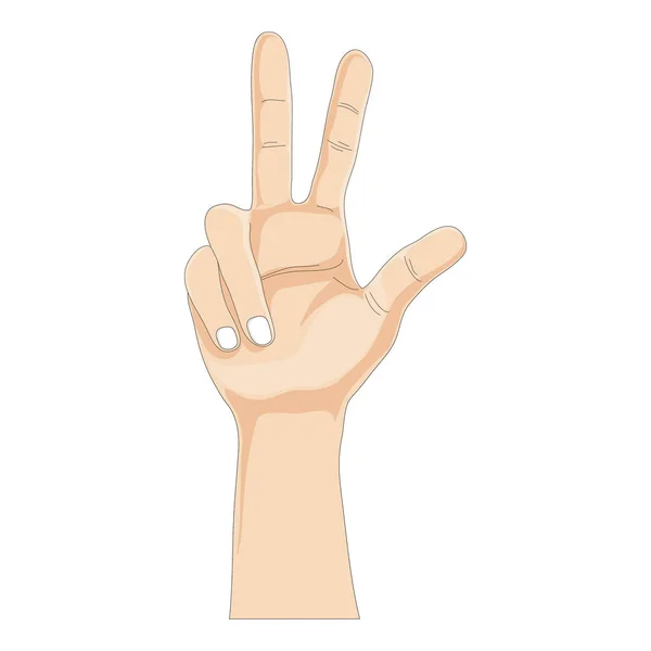 白い背景に3本の指を示す片手 ベクトルイラスト3本の指のジェスチャーサイン 漫画の手の数字3を示す 3本の指を上げる象徴的なジェスチャーコンセプト — ストックベクタ