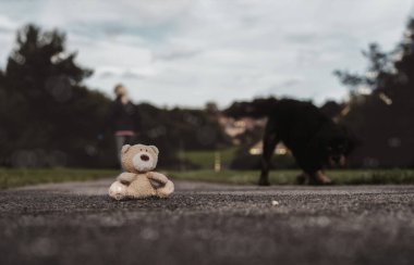 Kayıp oyuncak bebek, bulanık köpekle patikada oturuyor ve arkasında dramatik bir ışıkla yürüyen kadınlar üzgün suratlı yalnız kahverengi ayı oyuncağı, uluslararası kayıp çocuklar günü parkına bakıyor.