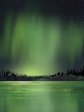 Kuzey ışıkları gece manzarası güzel kutup ışıkları ve yıldızlı gökyüzü çam ağaçları ormanı ve gölde yansıması Vector Night gökyüzü ve muhteşem aurora borealis. 