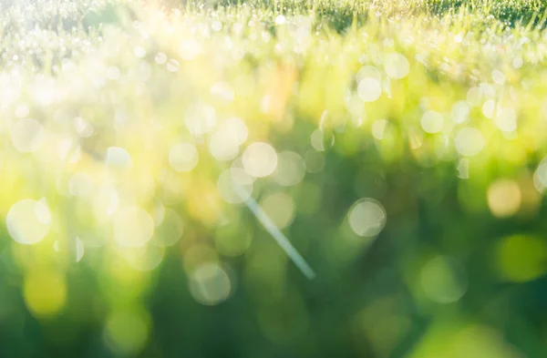 Defocused Wazige Bokeh Van Regendruppels Groen Grasveld Met Zonsopgang Schijnt — Stockfoto