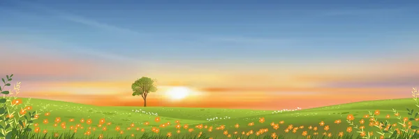 Paisaje Primavera Con Cielo Matutino Solo Árbol Campos Hierba Verde — Vector de stock