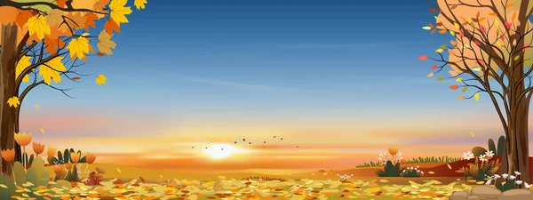 秋天的乡村风景 夕阳西下 蓝色和橙色的天空 秋天的全景 树叶从树上落下来 长成橘黄色的叶子 秋天的仙境 — 图库矢量图片