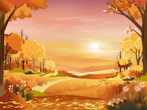 Autumn landscape wonderland forest with grass land,Mid autumn natural in orange foliage,Fall season with beautiful panoramic view with sunset and pink sky, mountain and maple leaves falling from tree