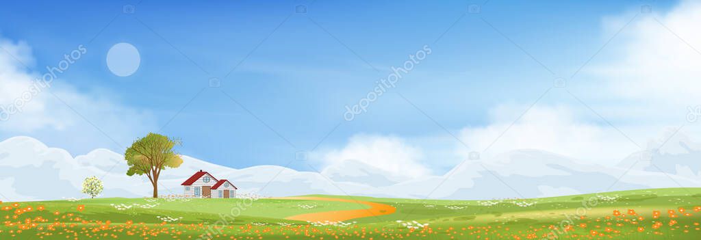 Spring landscape in countryside with farmhous green meadow on hills with blue sky, Vector Summer or Spring landscape, Panoramic village with grass field and wildflowers, Holiday natural background