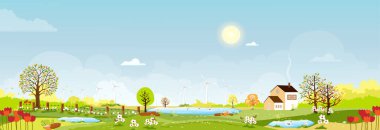 Bahar köyünün panorama manzarası, tepelerde yeşil çayır, mavi gökyüzü ve güneş, Vector çizgi filmi bahar veya yaz manzarası, gölette yüzen aile ördekleri olan panoramik kırsal arazi.